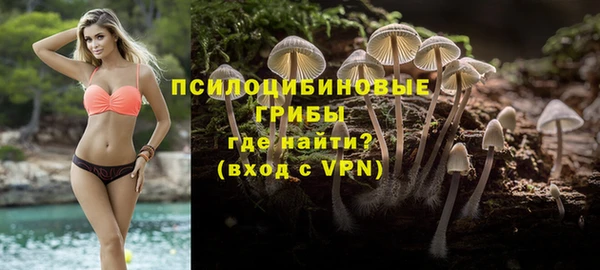 прущий лед Алексин