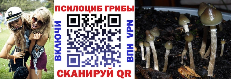 Галлюциногенные грибы мухоморы  где купить наркоту  Коломна 